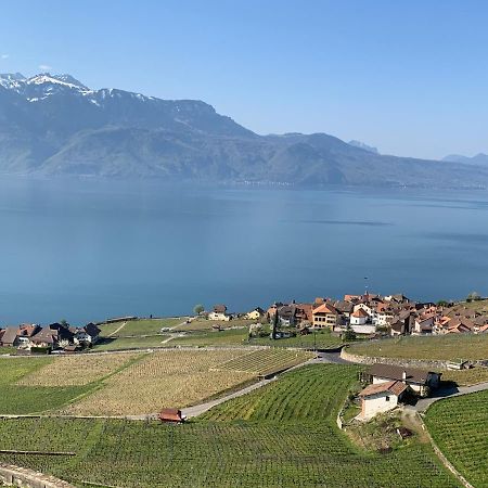 La Gremillette Gourmande Lavaux Apartment Rivaz Ngoại thất bức ảnh
