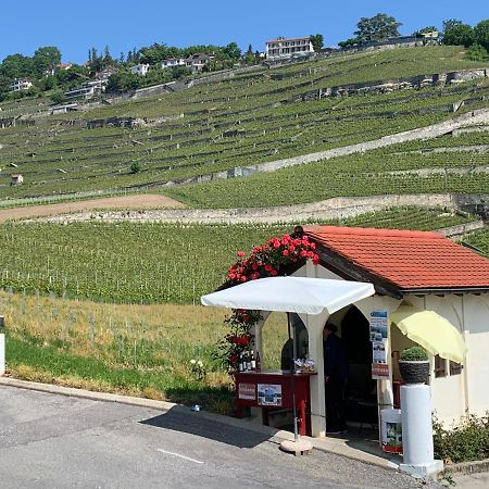 La Gremillette Gourmande Lavaux Apartment Rivaz Ngoại thất bức ảnh