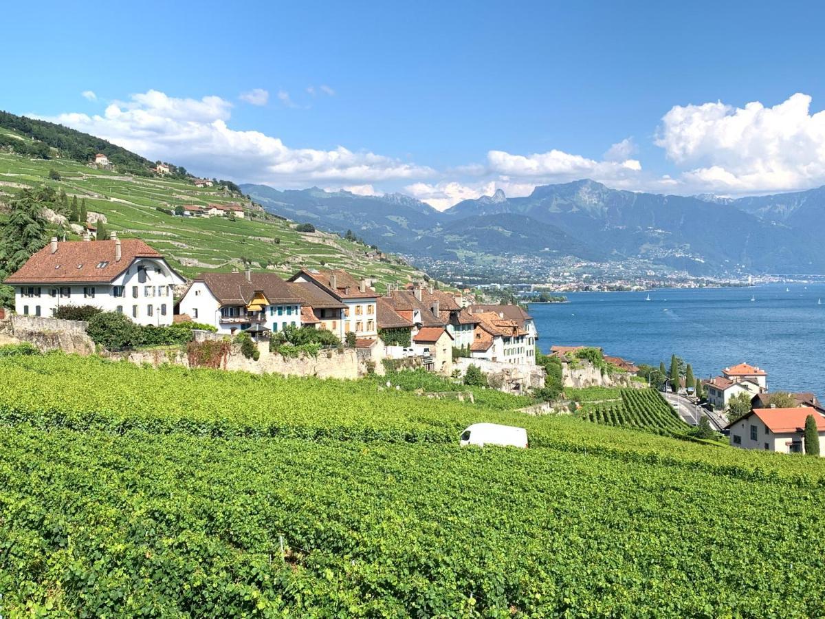 La Gremillette Gourmande Lavaux Apartment Rivaz Ngoại thất bức ảnh