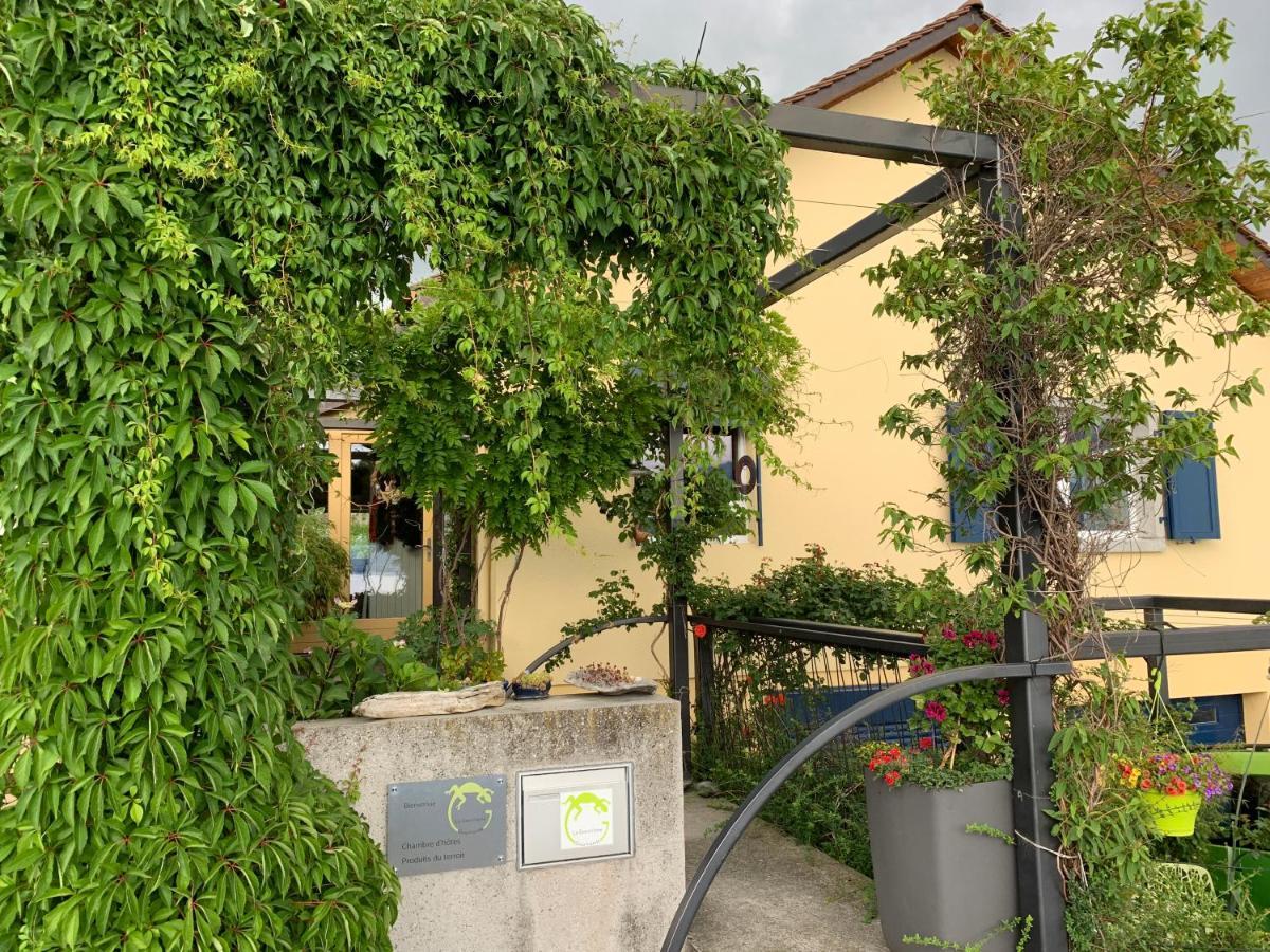 La Gremillette Gourmande Lavaux Apartment Rivaz Ngoại thất bức ảnh