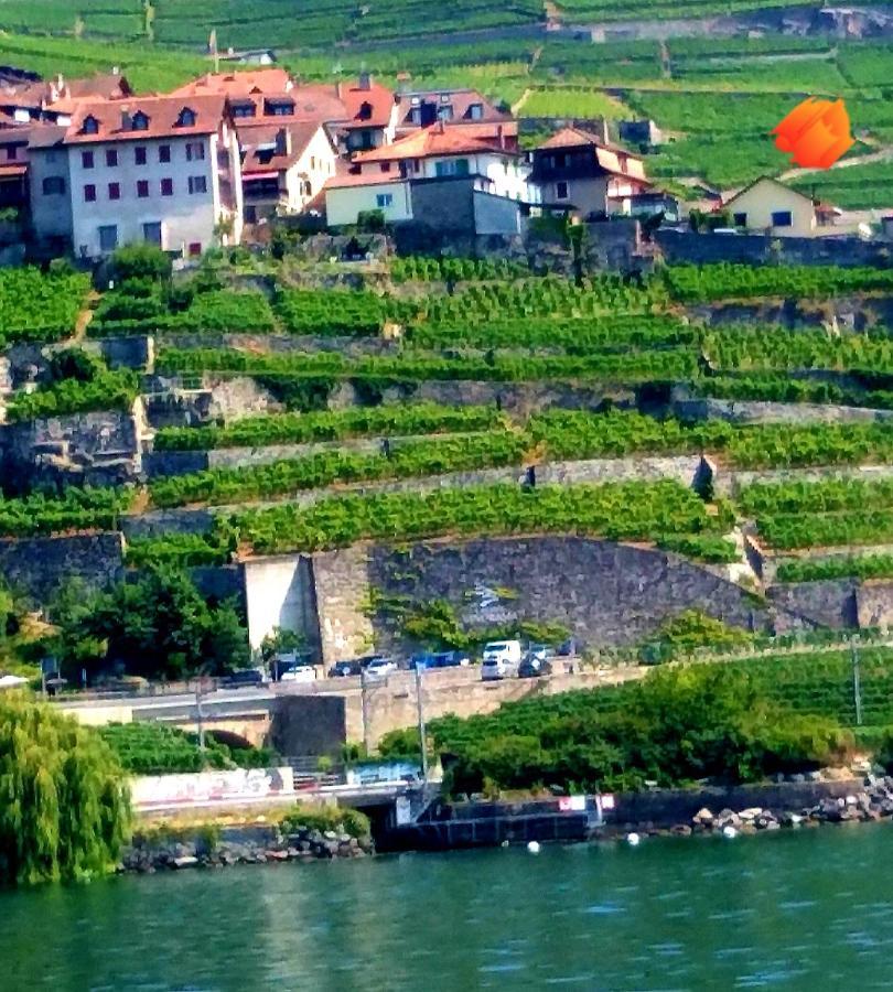 La Gremillette Gourmande Lavaux Apartment Rivaz Ngoại thất bức ảnh