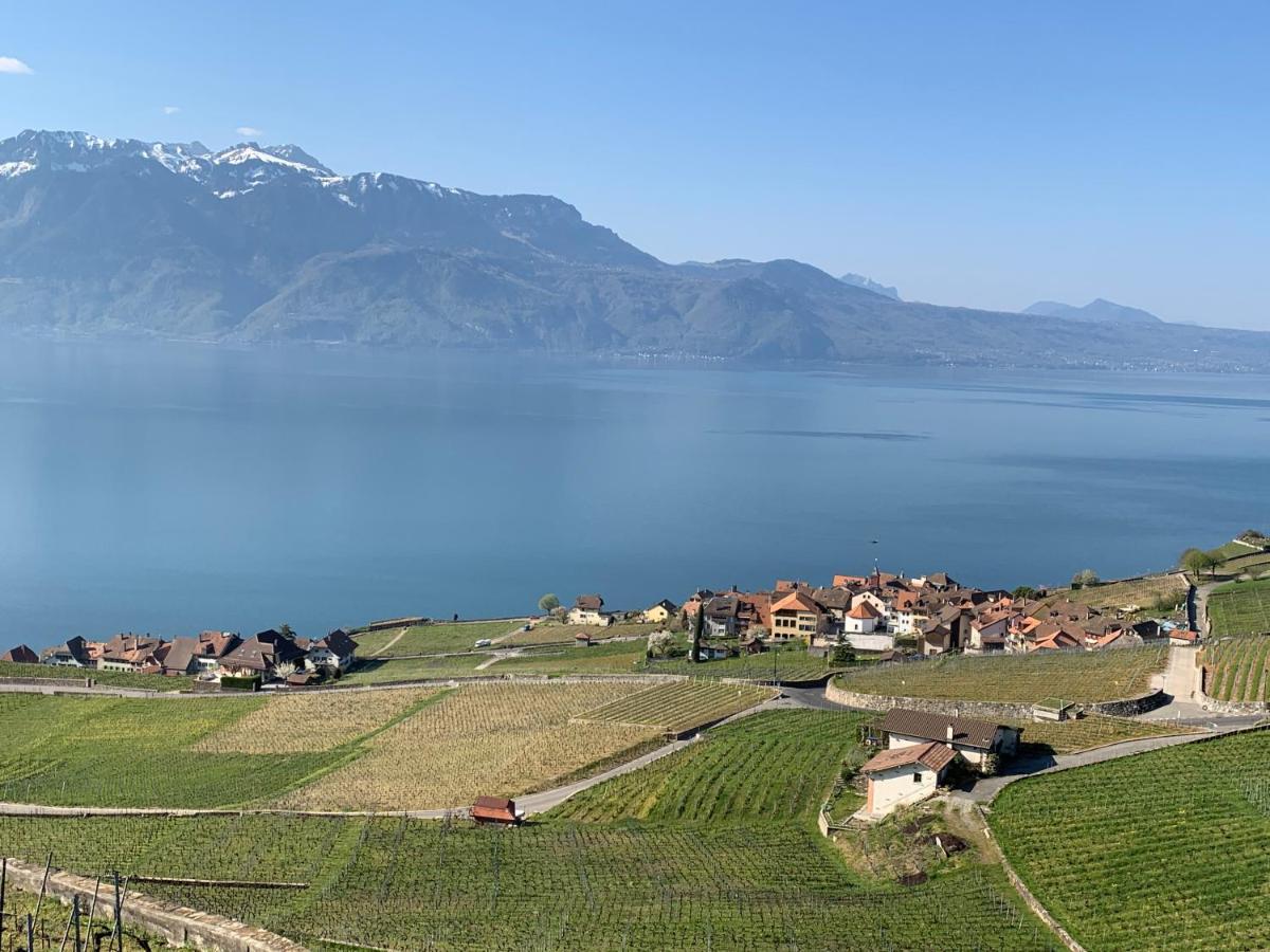 La Gremillette Gourmande Lavaux Apartment Rivaz Ngoại thất bức ảnh
