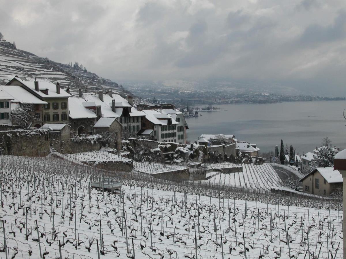 La Gremillette Gourmande Lavaux Apartment Rivaz Ngoại thất bức ảnh