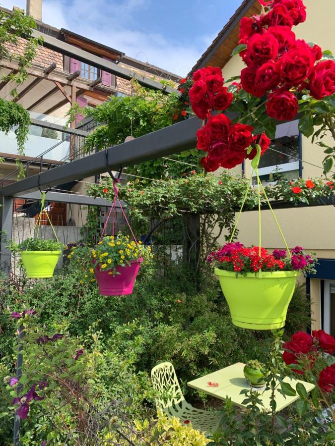 La Gremillette Gourmande Lavaux Apartment Rivaz Ngoại thất bức ảnh